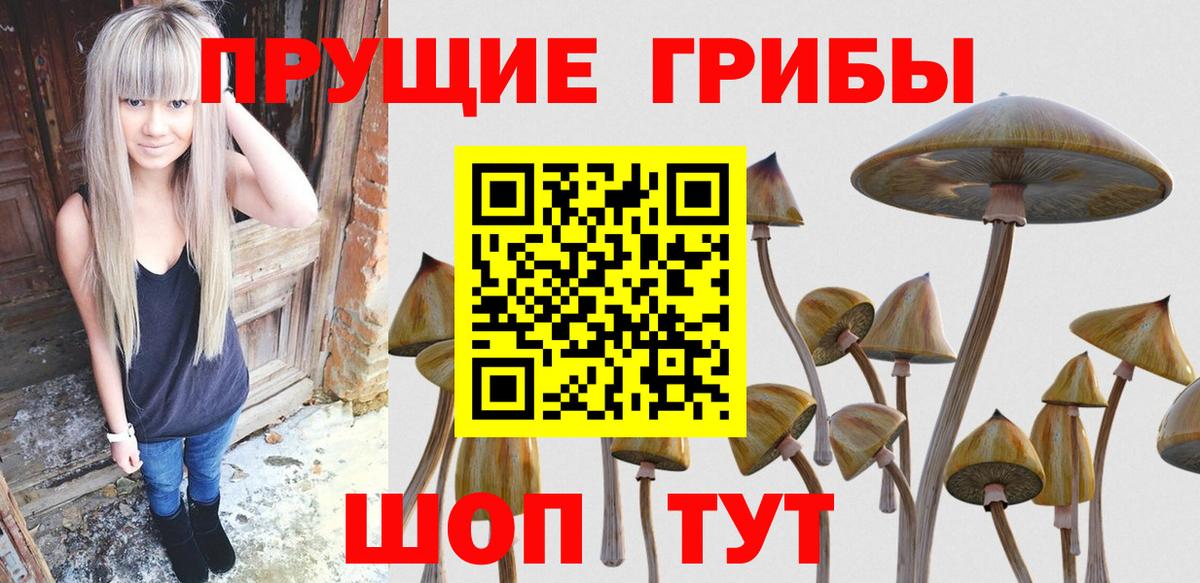 где найти   Вход с VPN  Похвистнево  Псилоцибиновые грибы MAGIC MUSHROOMS 